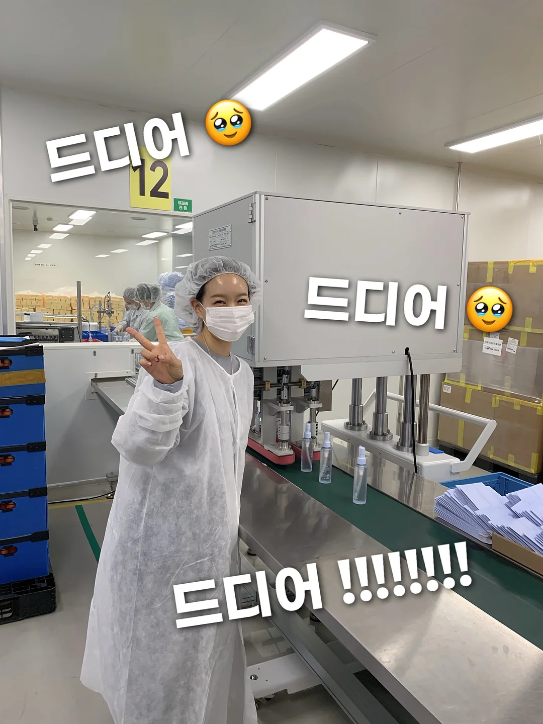 초록매실 PET 500ML 1