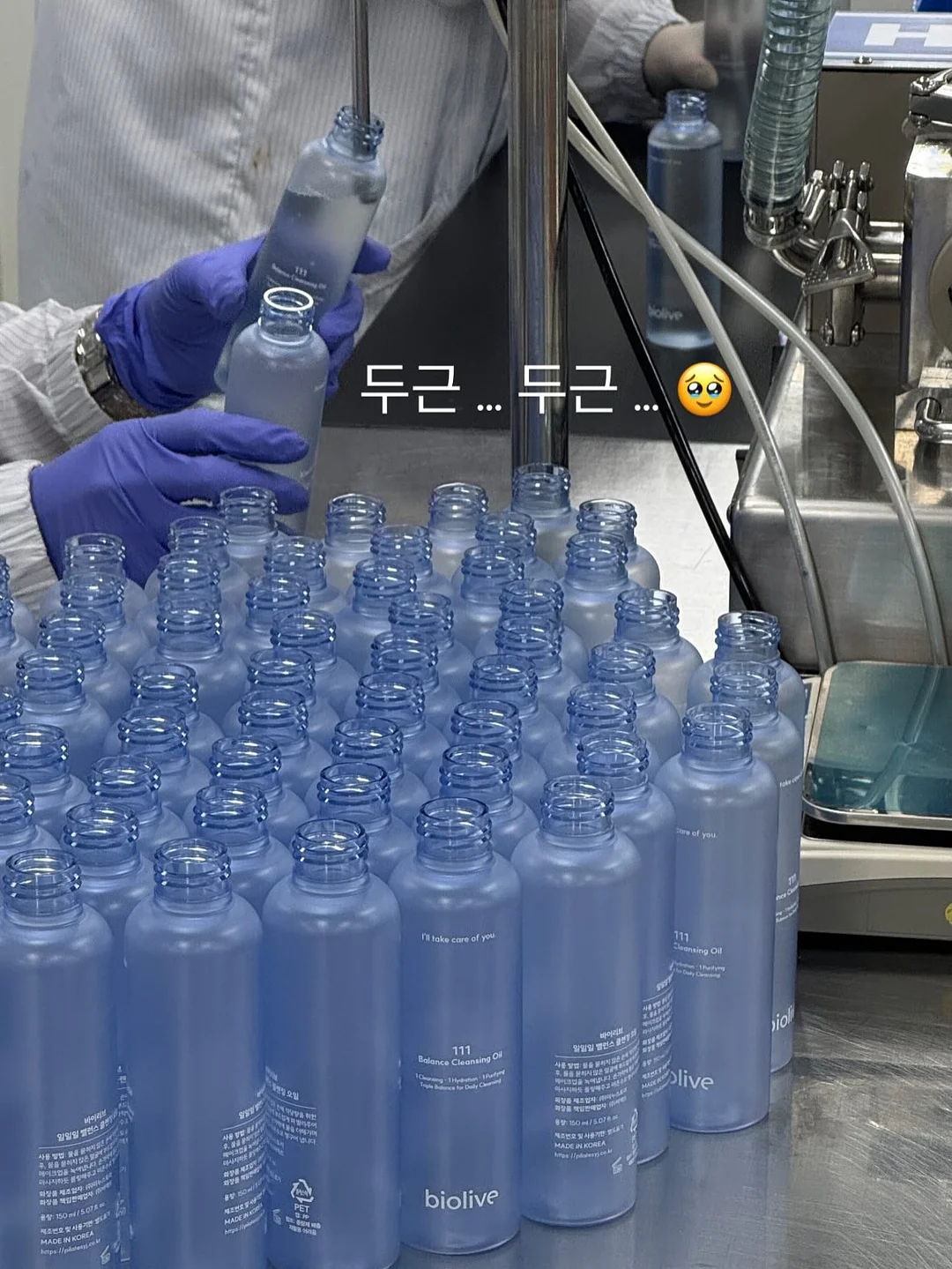 초록매실 PET 500ML 3