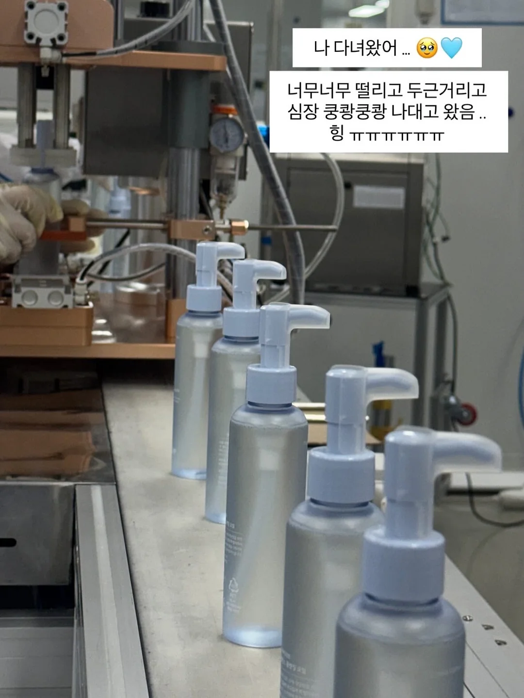 초록매실 PET 500ML 4