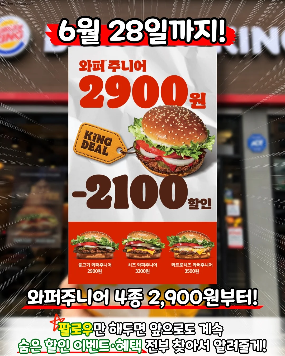 비타500 메시지 에디션 2