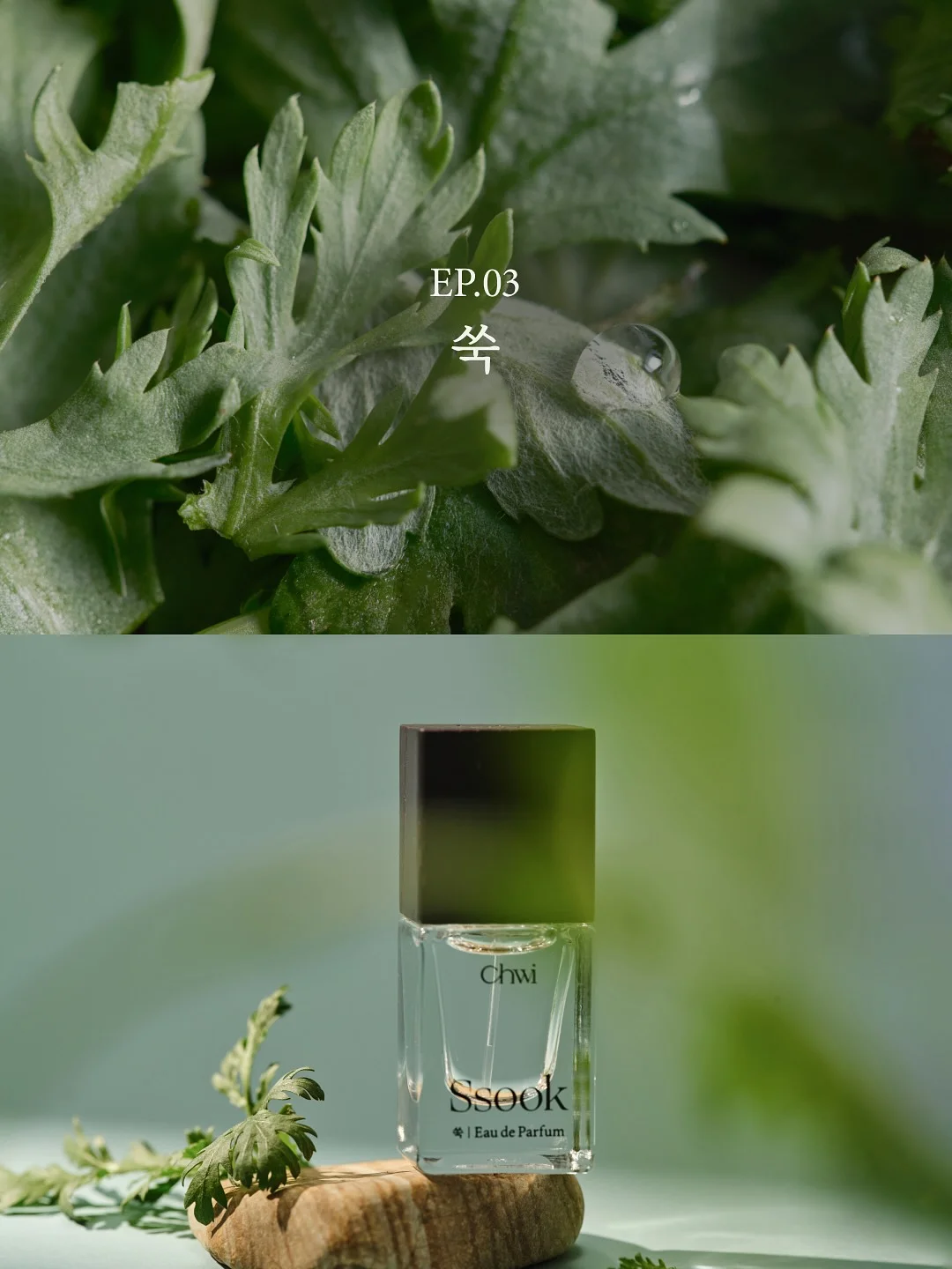마사지 명함디자인 4