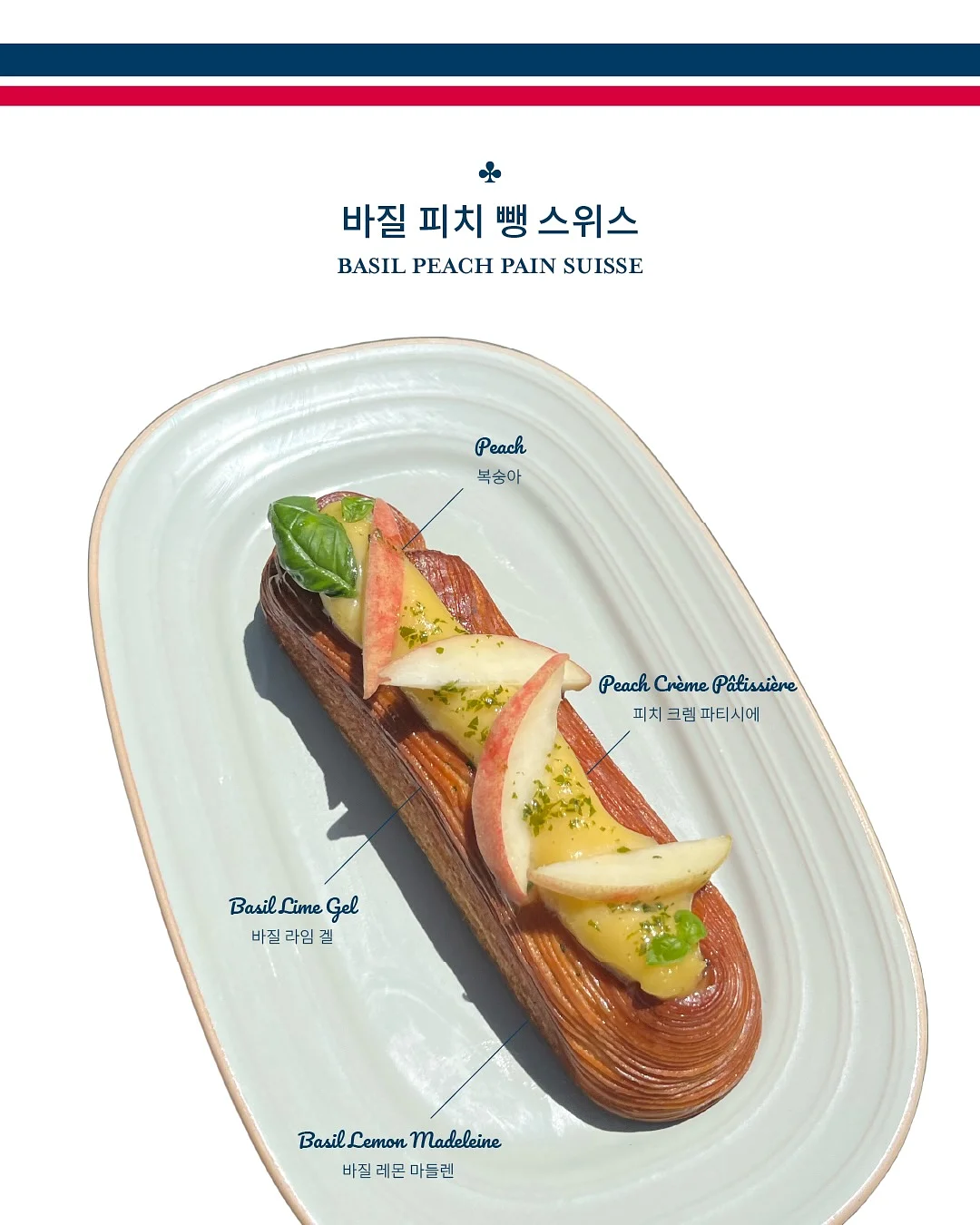 홍지문 간호사 면접 PLUS 이론집 3