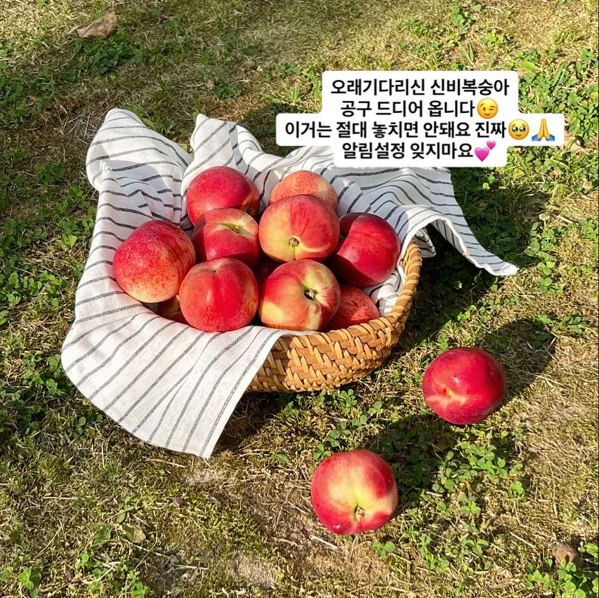 삶은 계란 비법 1