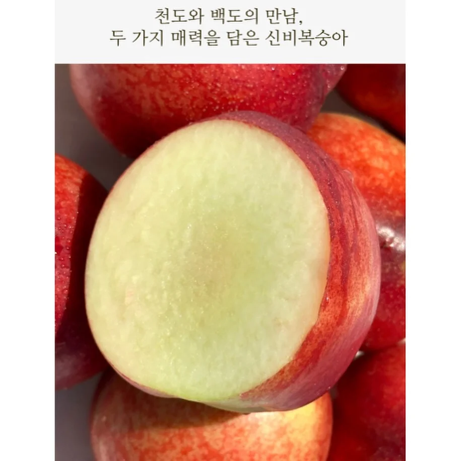 삶은 계란 비법 2