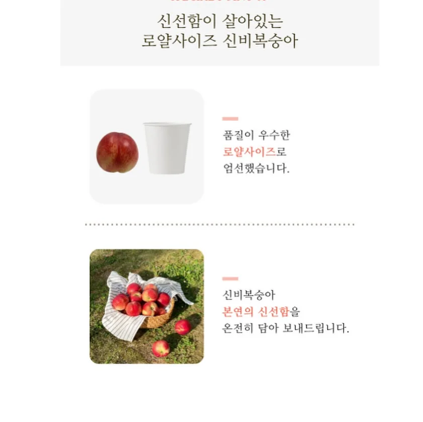 삶은 계란 비법 4