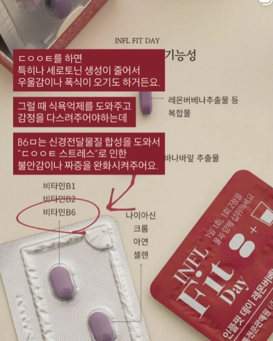 르메인 나시 가디건 니트 세트 17