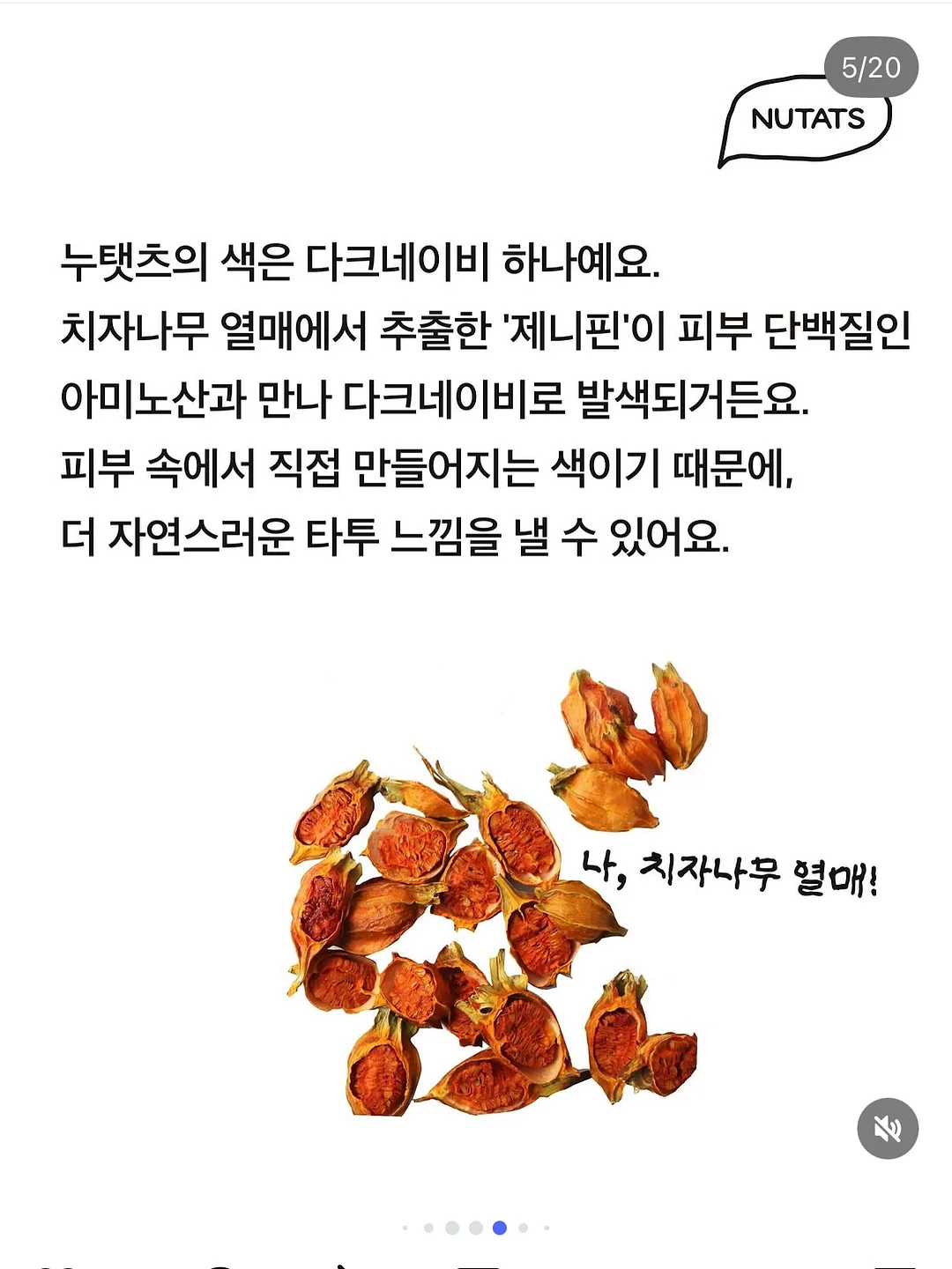 MLB 신발 4
