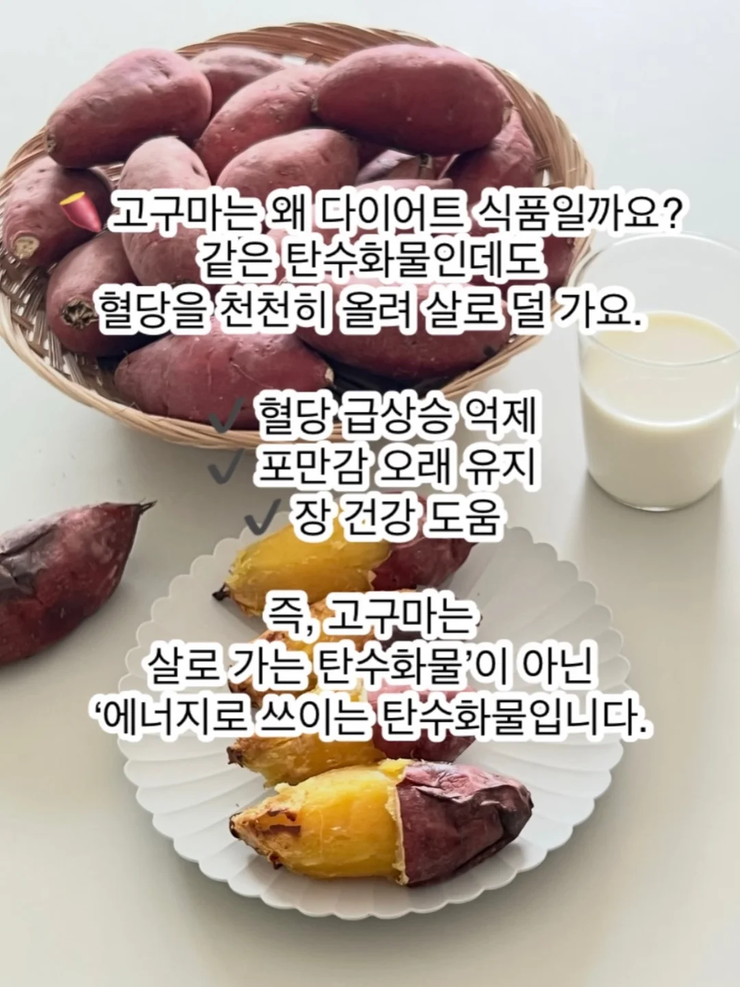 몬스터겔 청소용품 8