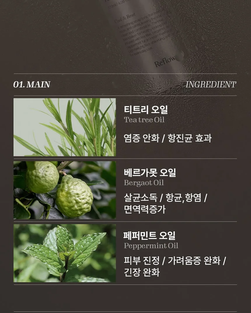 공항룩 12