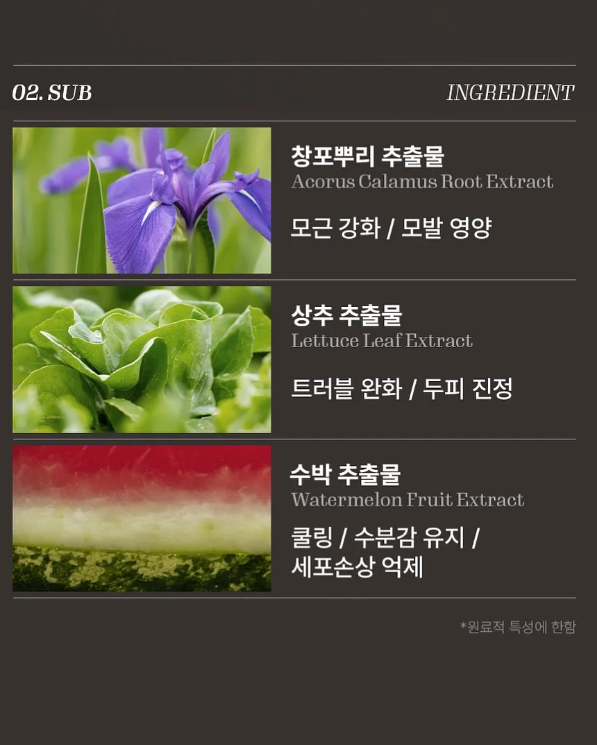 공항룩 13