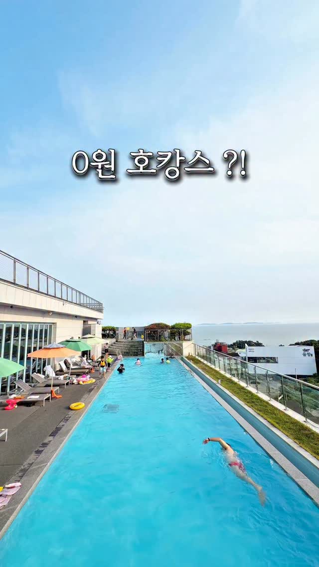 칸투치스튜디오 개미티
