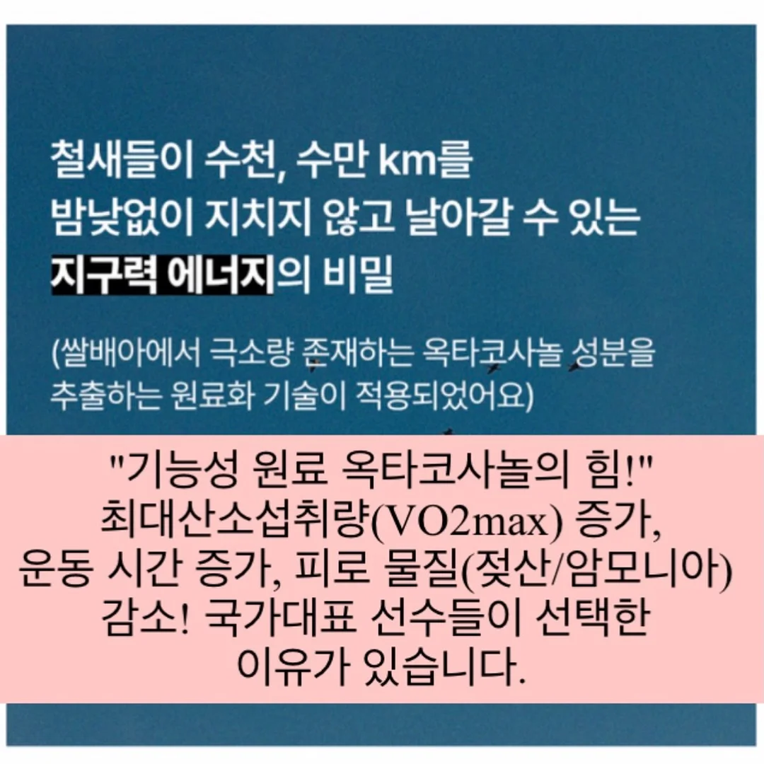 하례 유라조생 타이벡 감귤 L/M 사이즈 7
