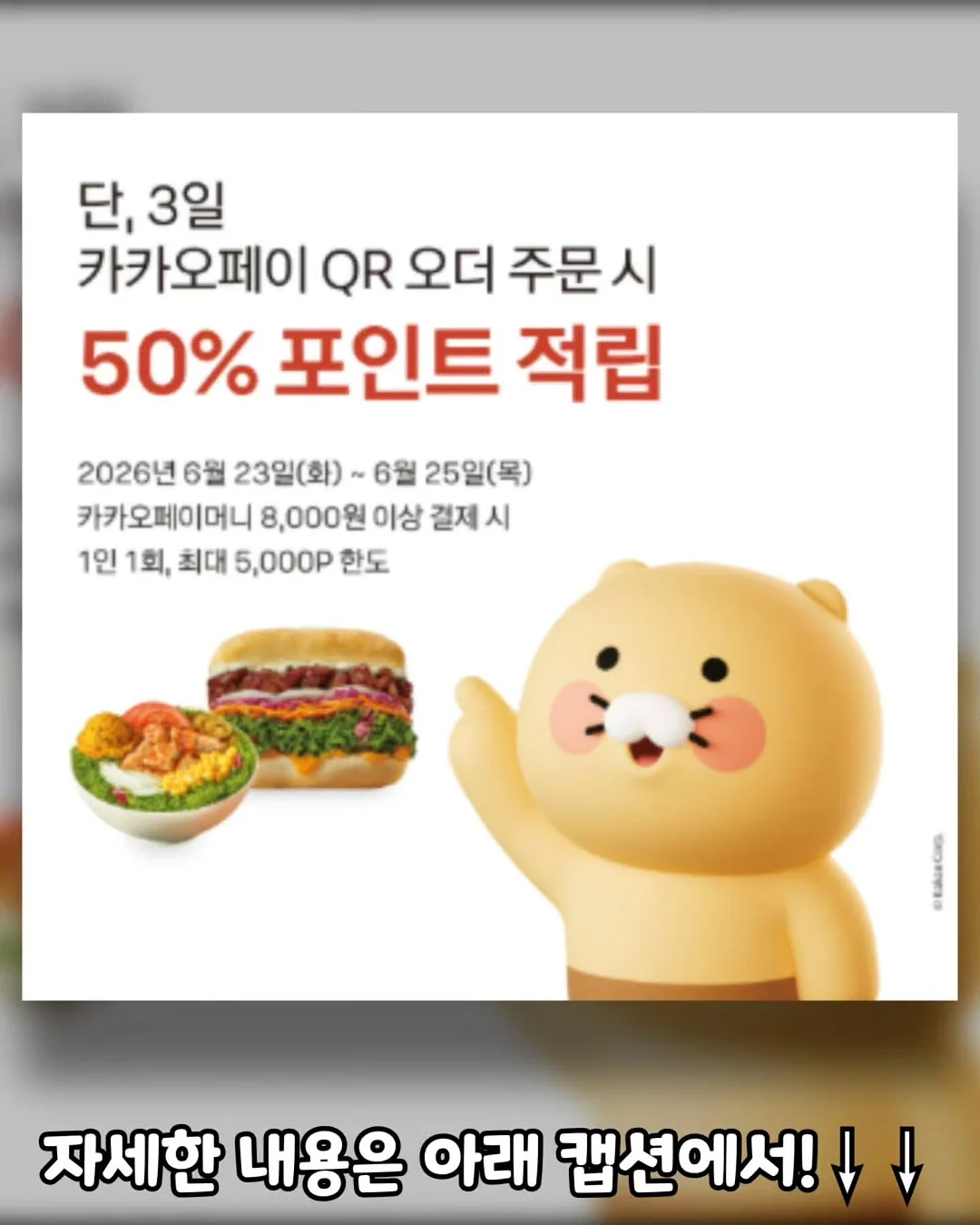 HAY 런드리 바스켓 2