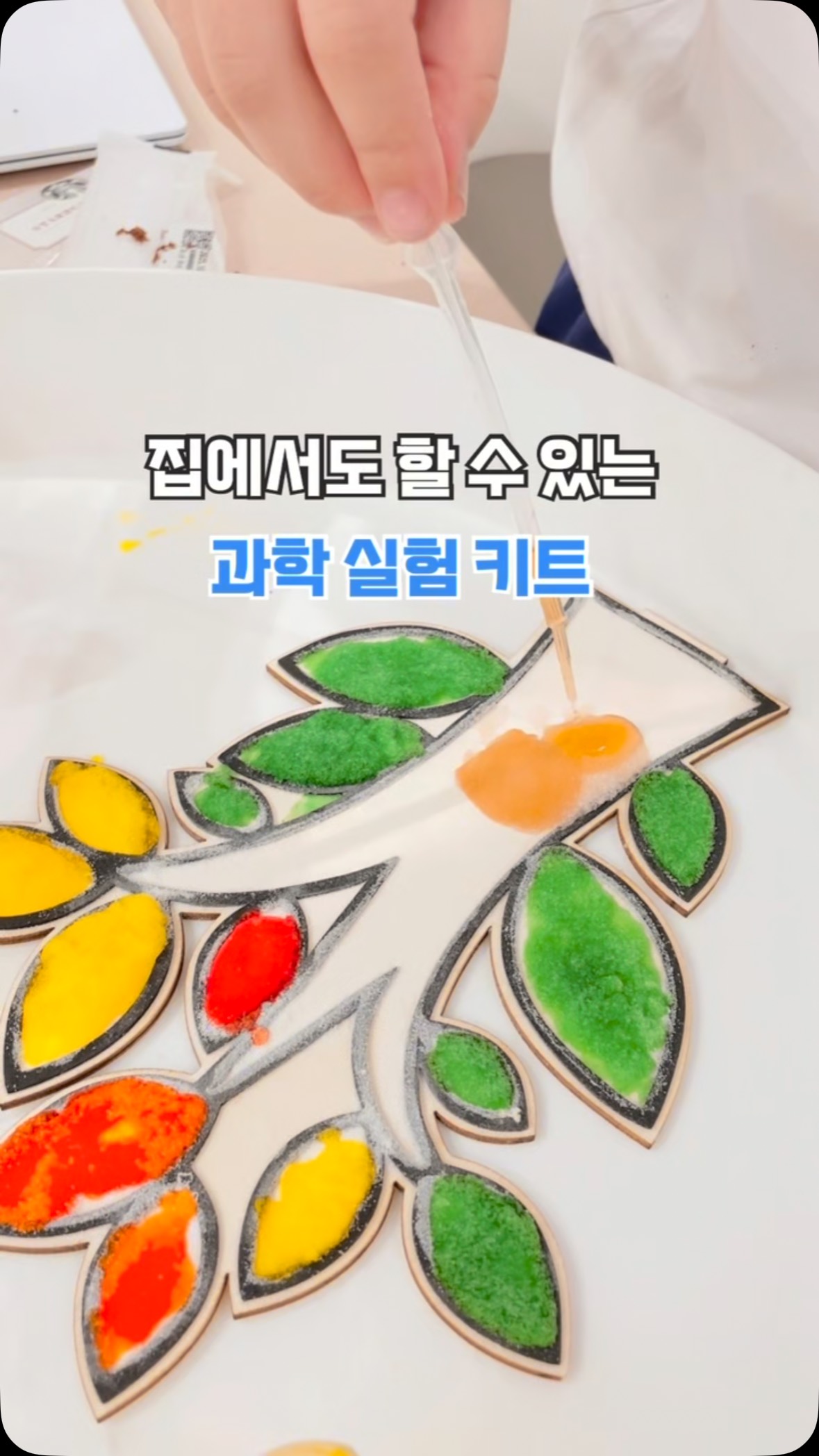 퍼마색소