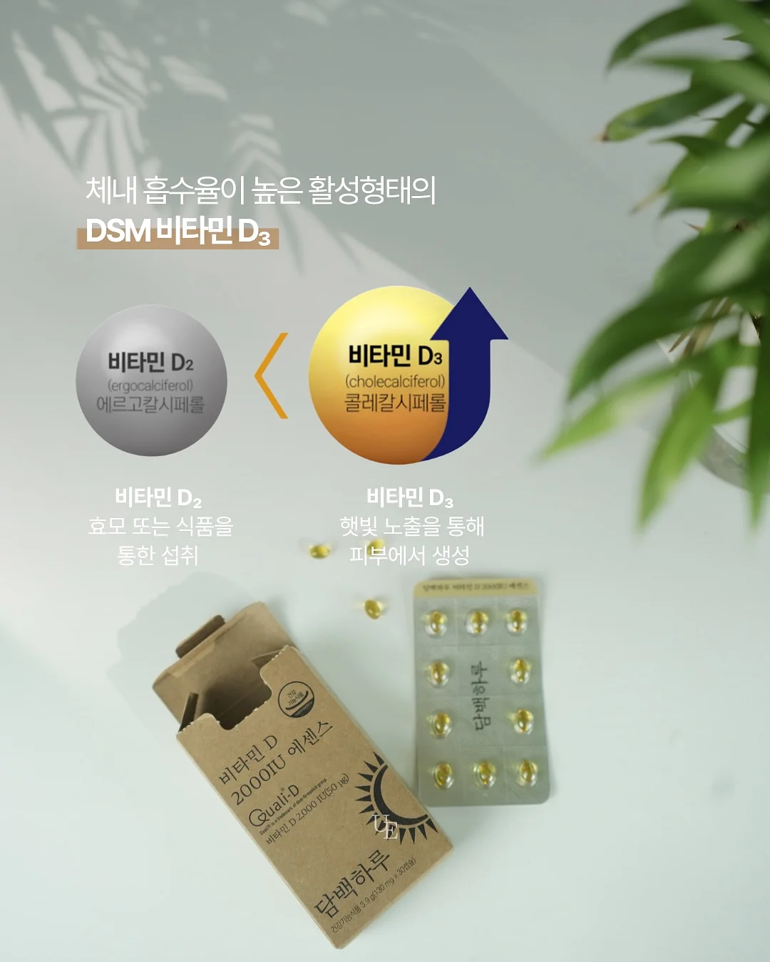 만삭 하객 코디 5