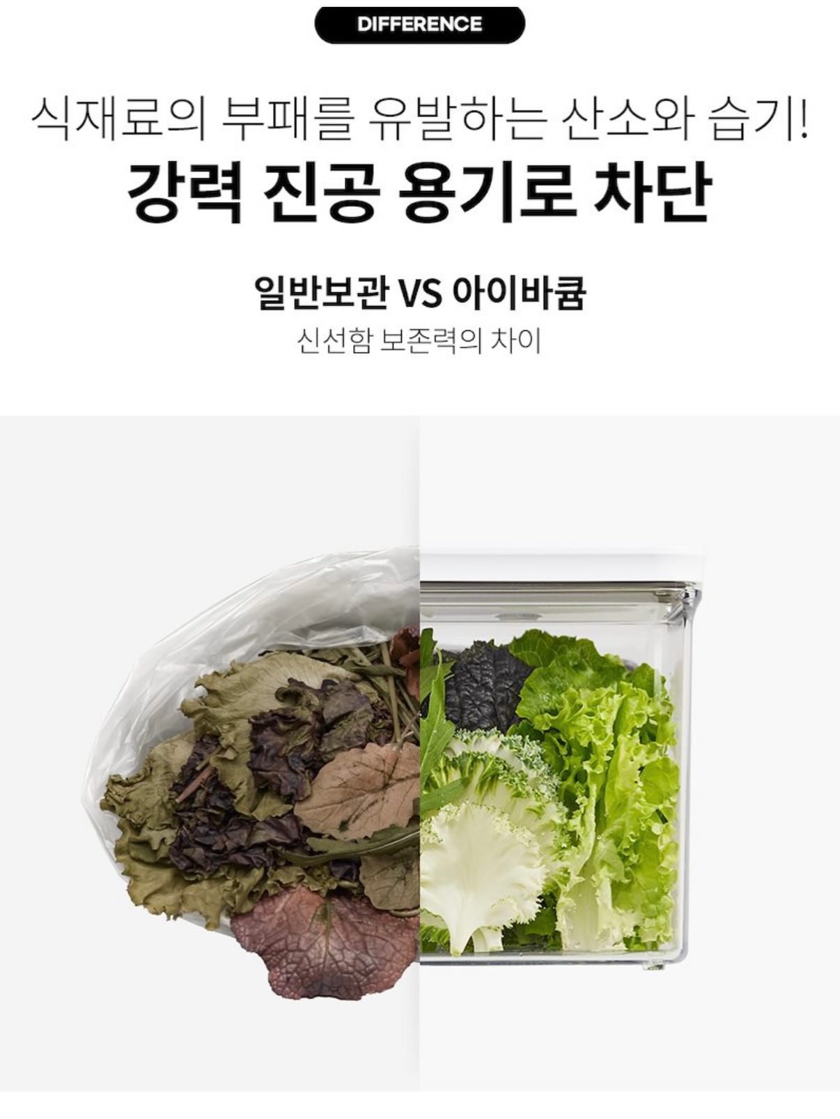 스콘 11