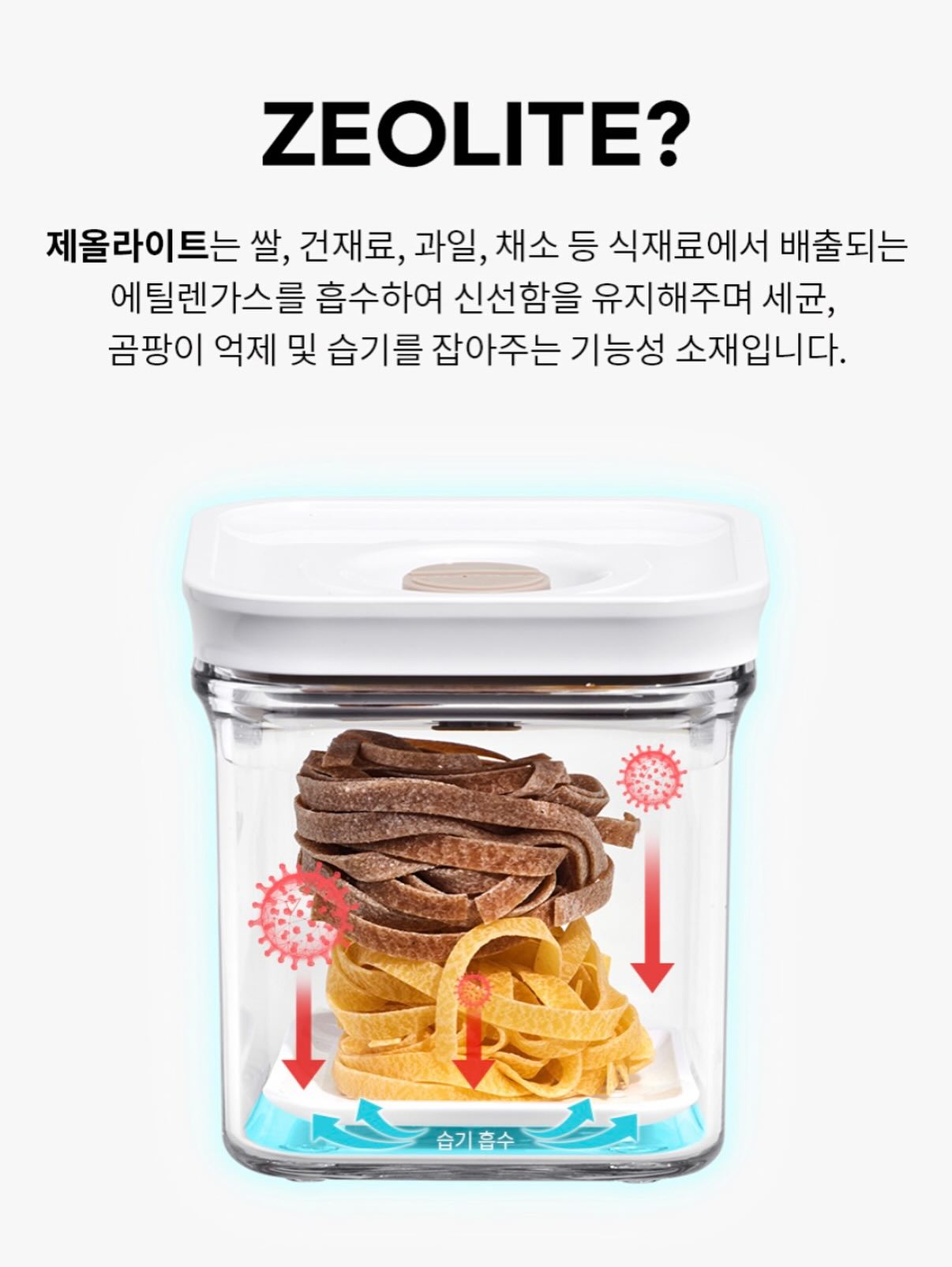 스콘 17