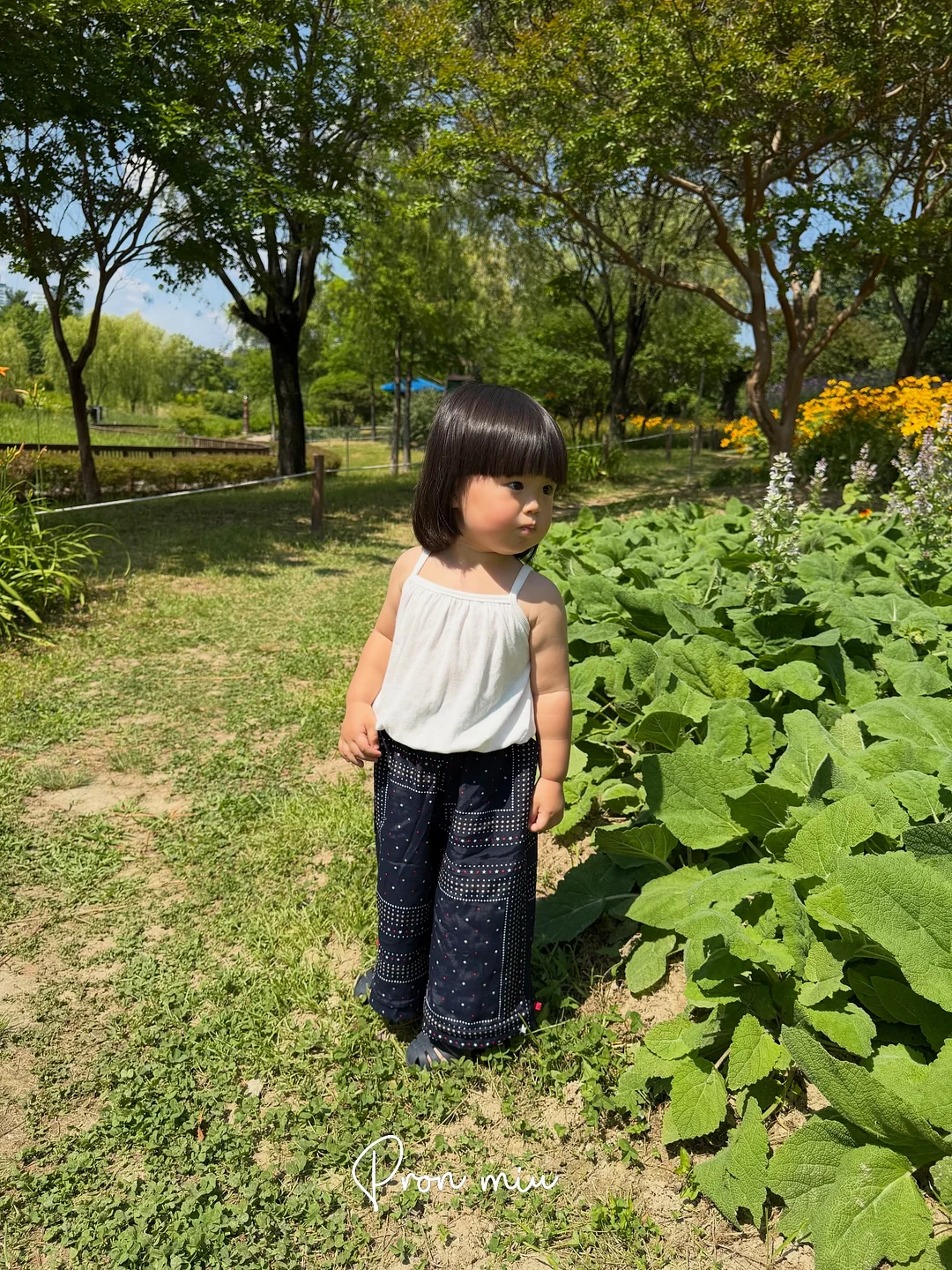 아일렛홀터블라우스 4