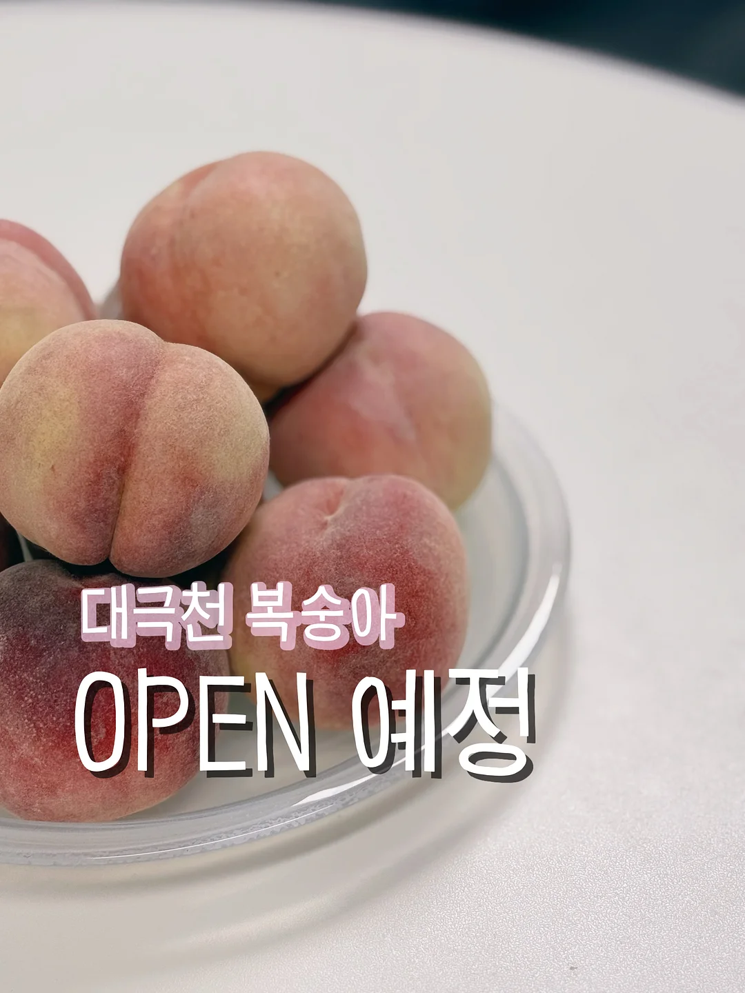 여름 필수템 1