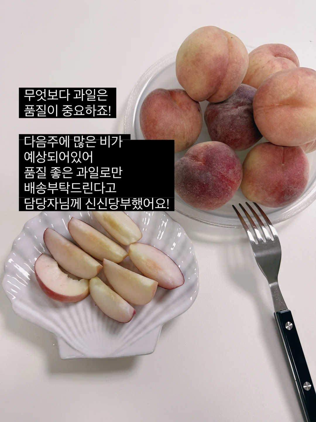 여름 필수템 6