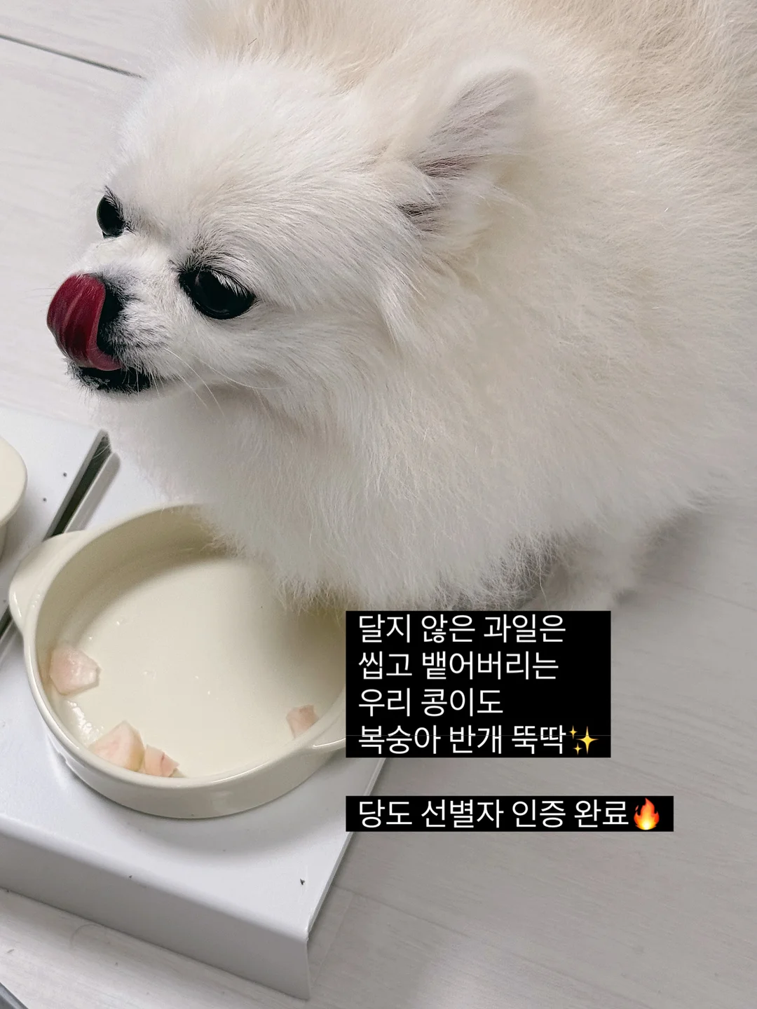 여름 필수템 10