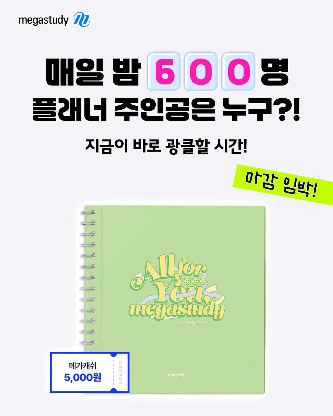 황치즈 쫀득 초코칩 쿠키