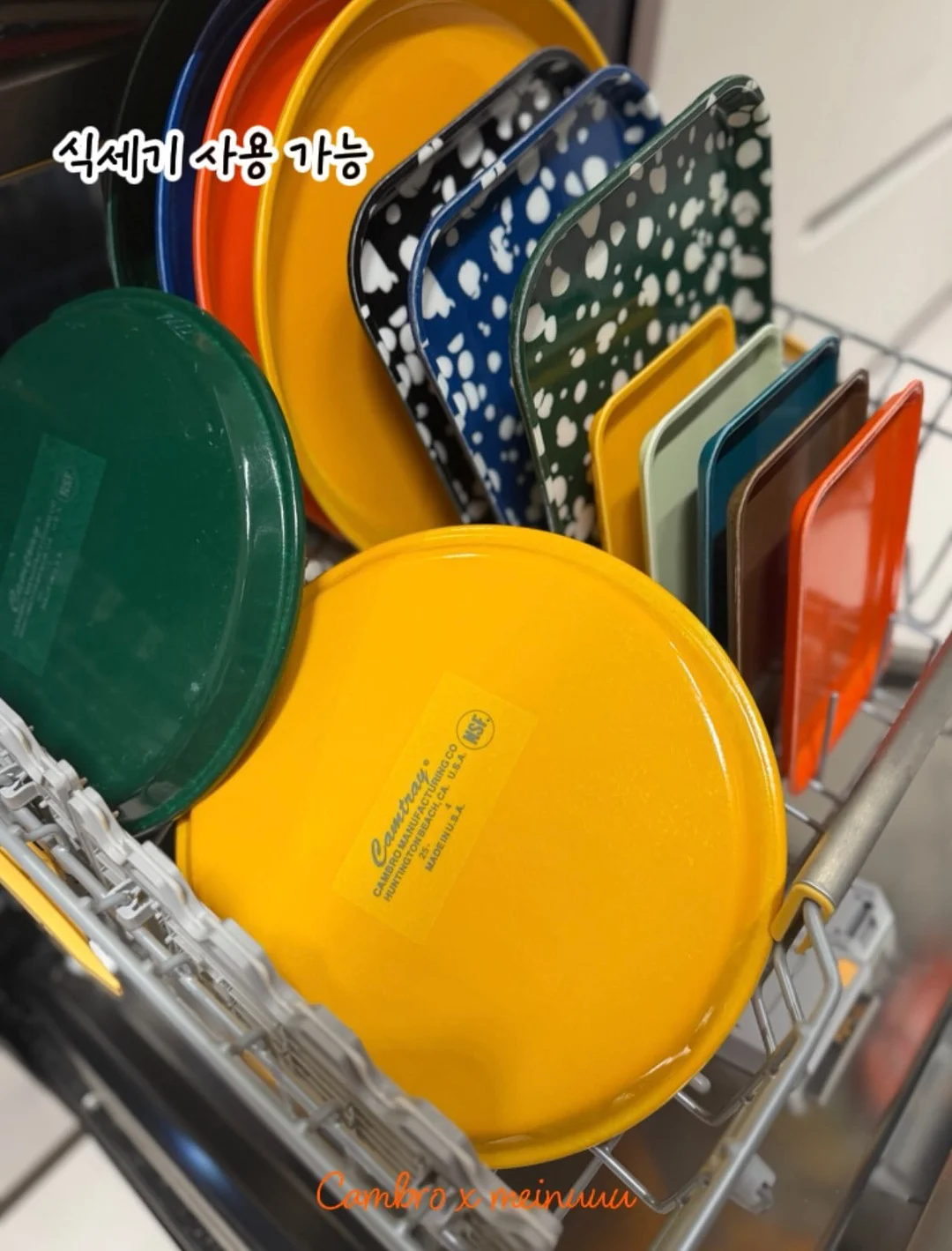 미백 치아 관리 7
