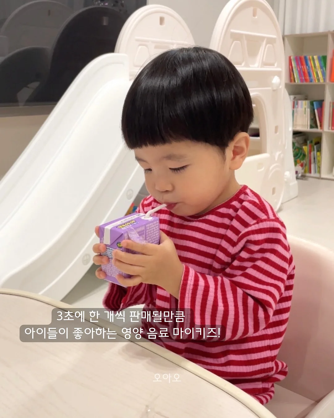 과일 도시락 2