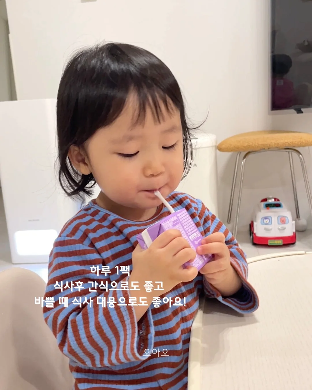 과일 도시락 3