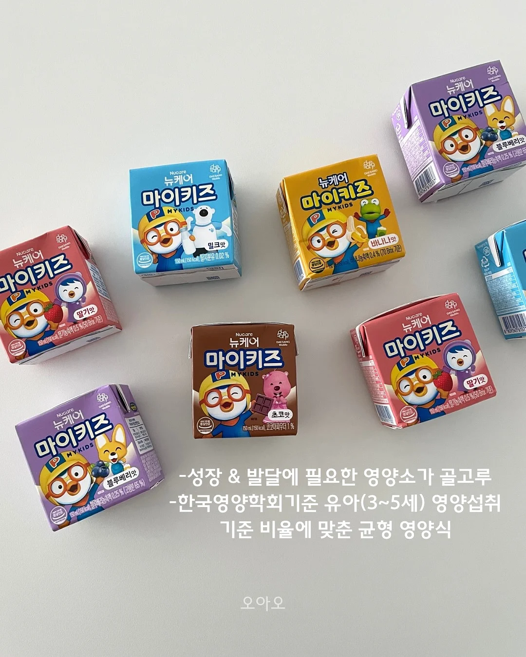 과일 도시락 4