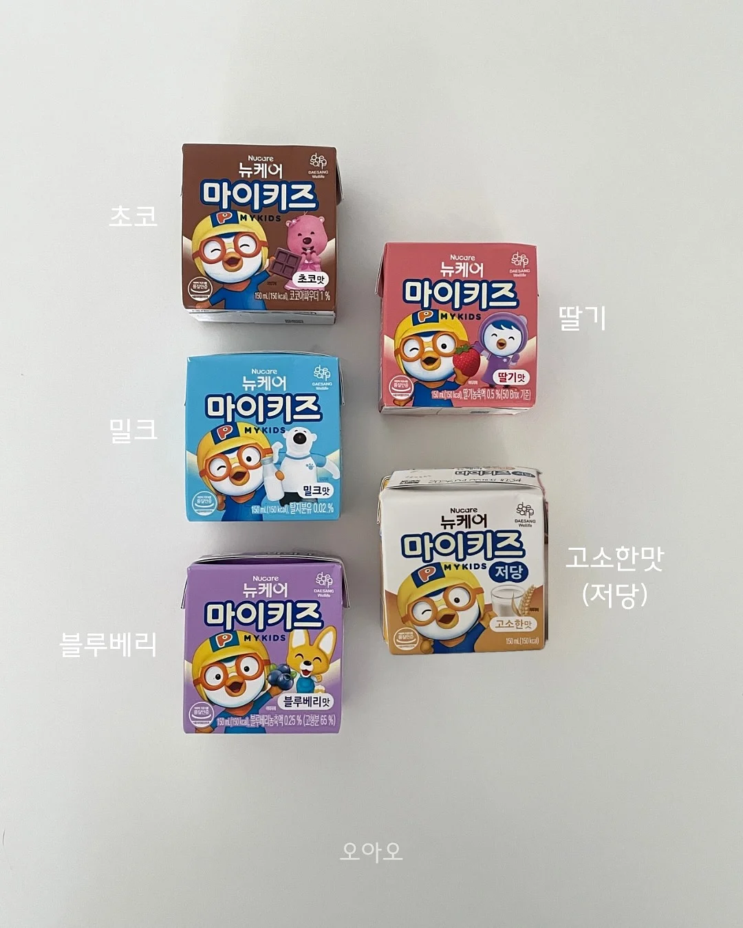 과일 도시락 8