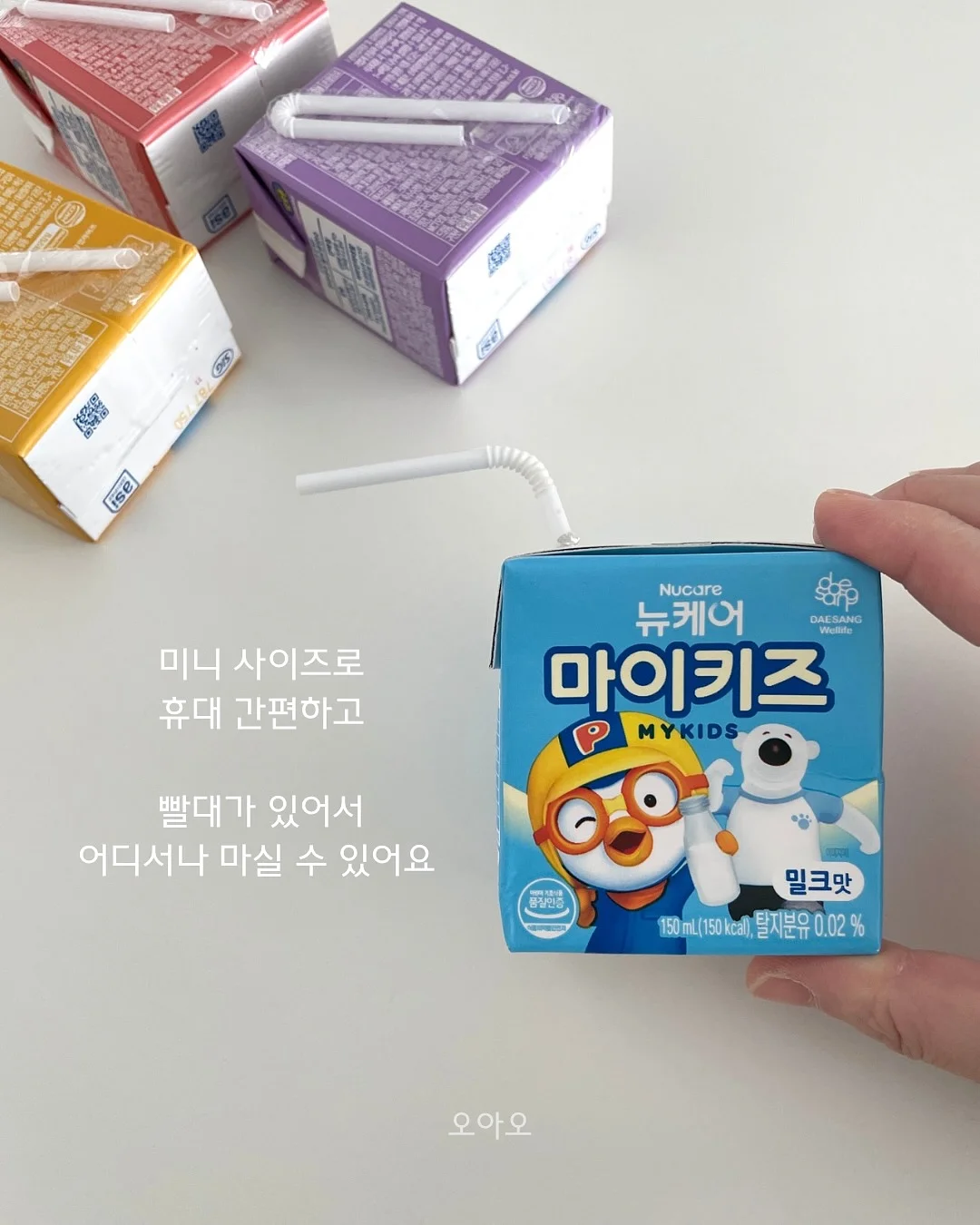 과일 도시락 9