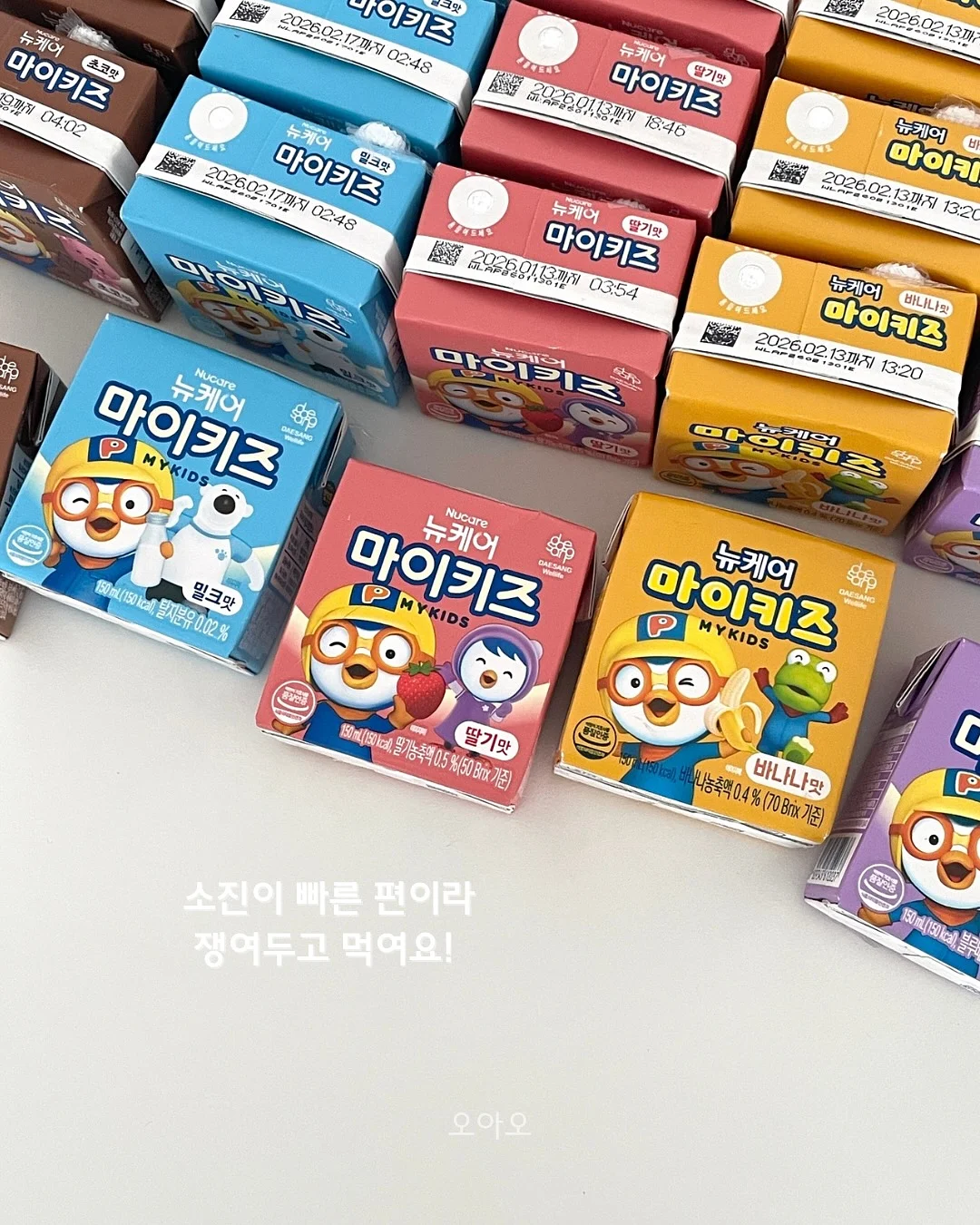 과일 도시락 10