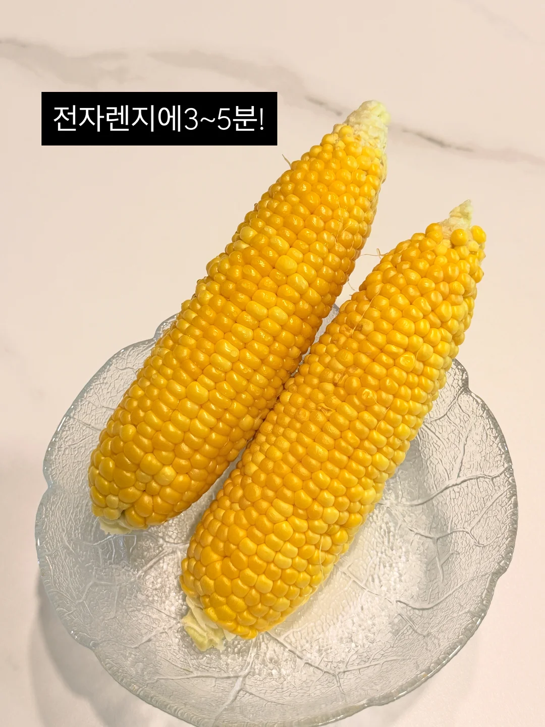 족보 4
