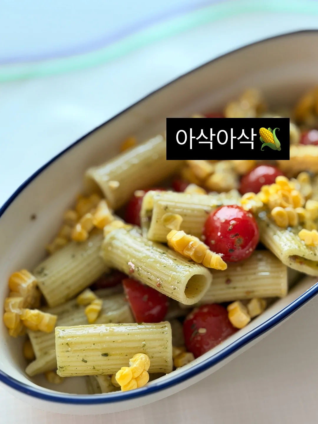 족보 6
