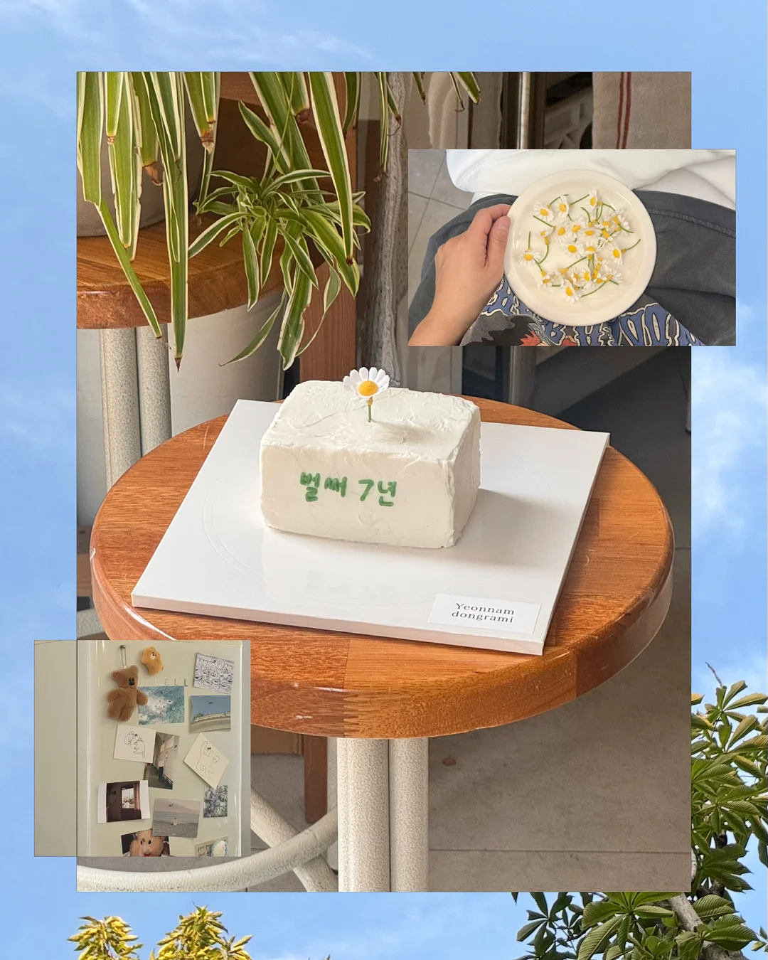 아치화병