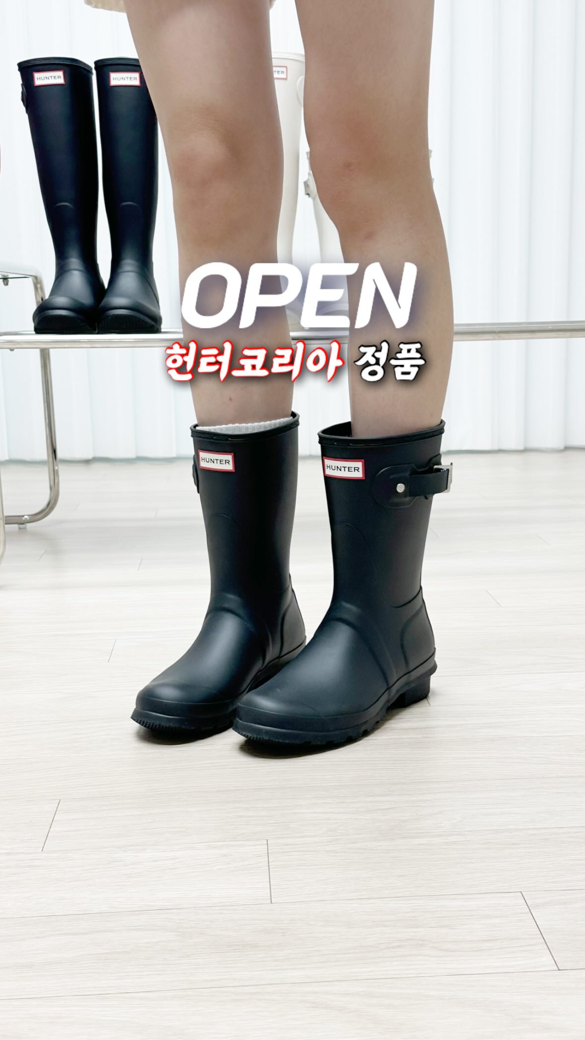 반려동물 사진 맞춤 조명