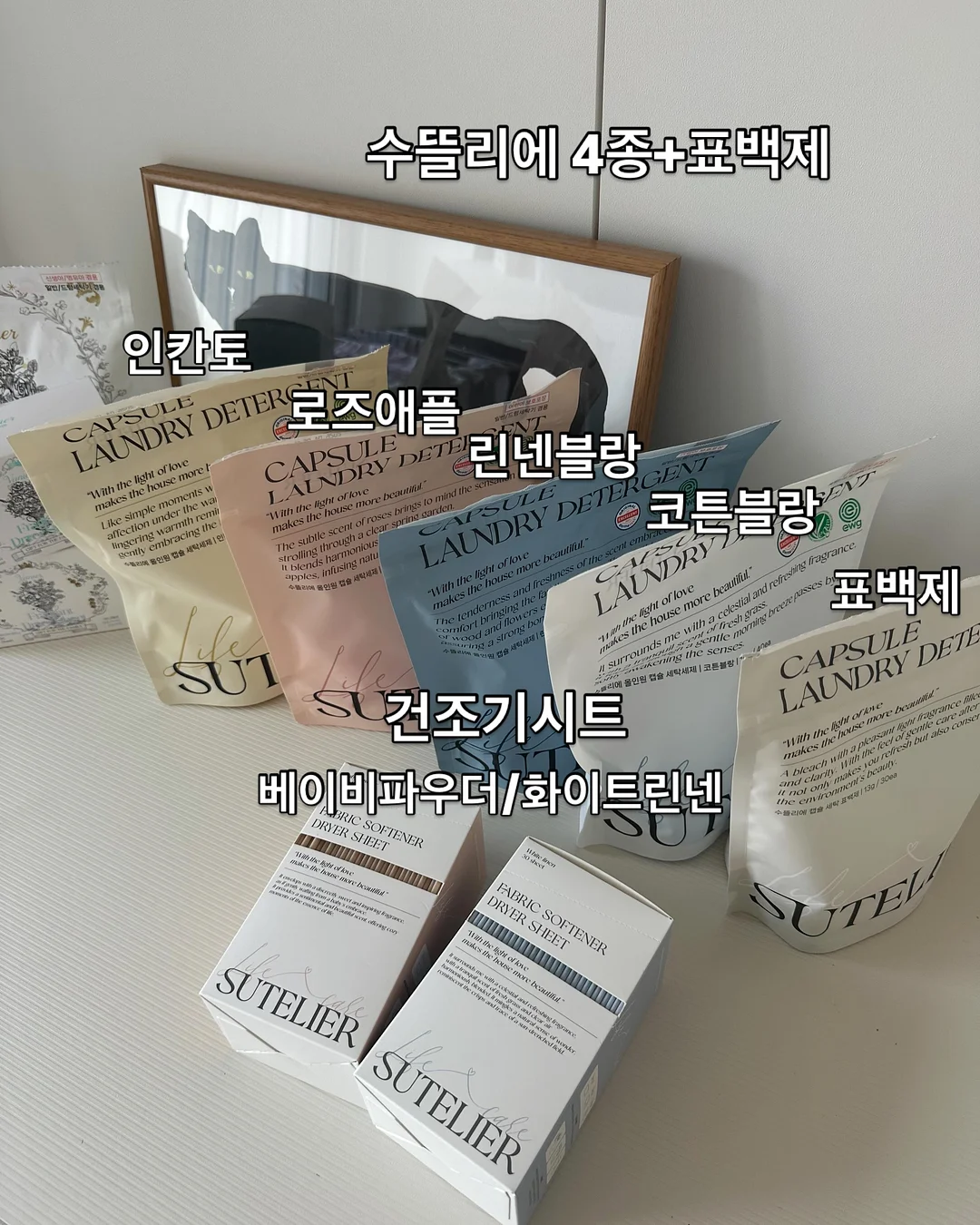 유데감 전국투어 공연 8