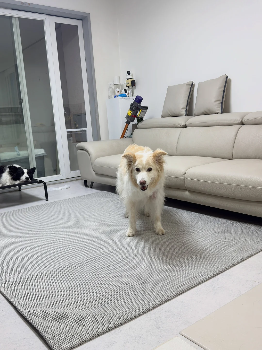 푸드 사이클러 13