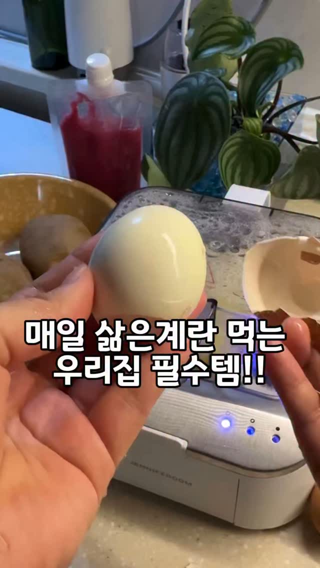당일치기 글램핑장