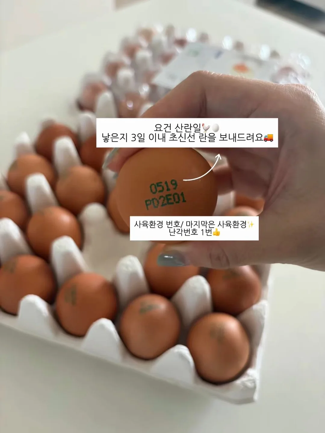 아이스박스 7