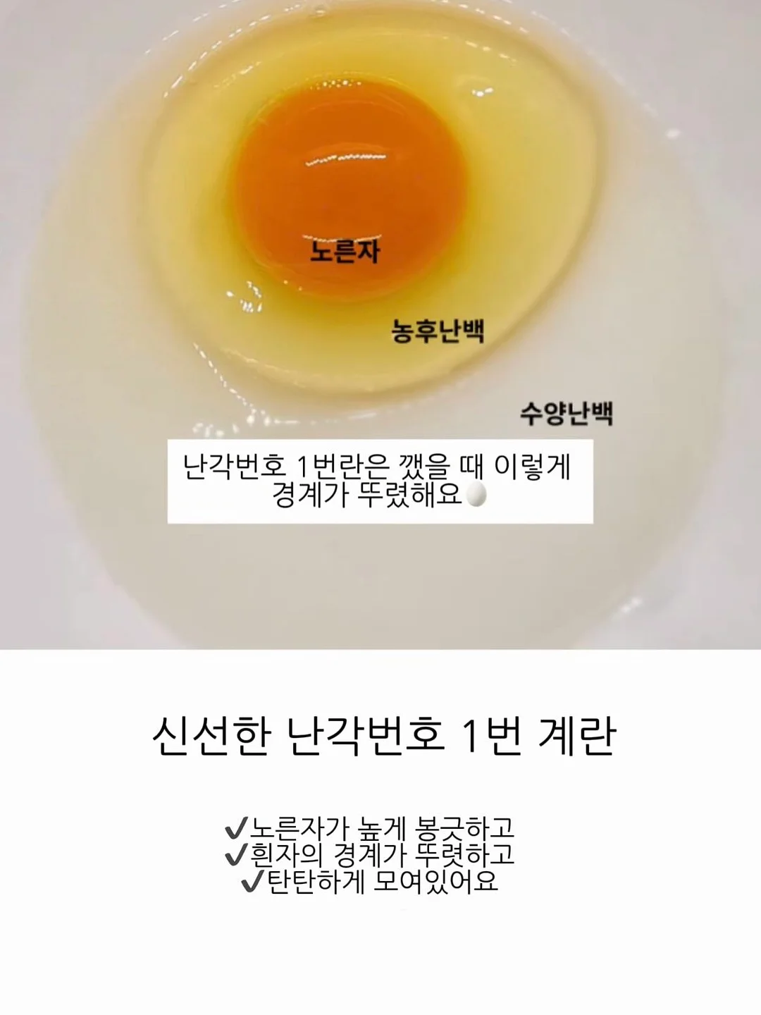 아이스박스 8