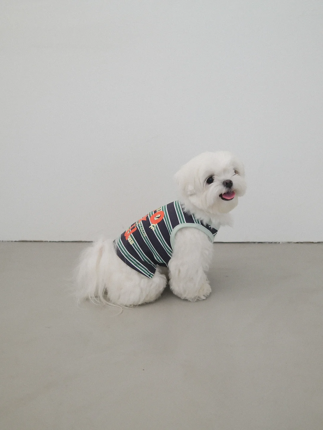 커브크림 5
