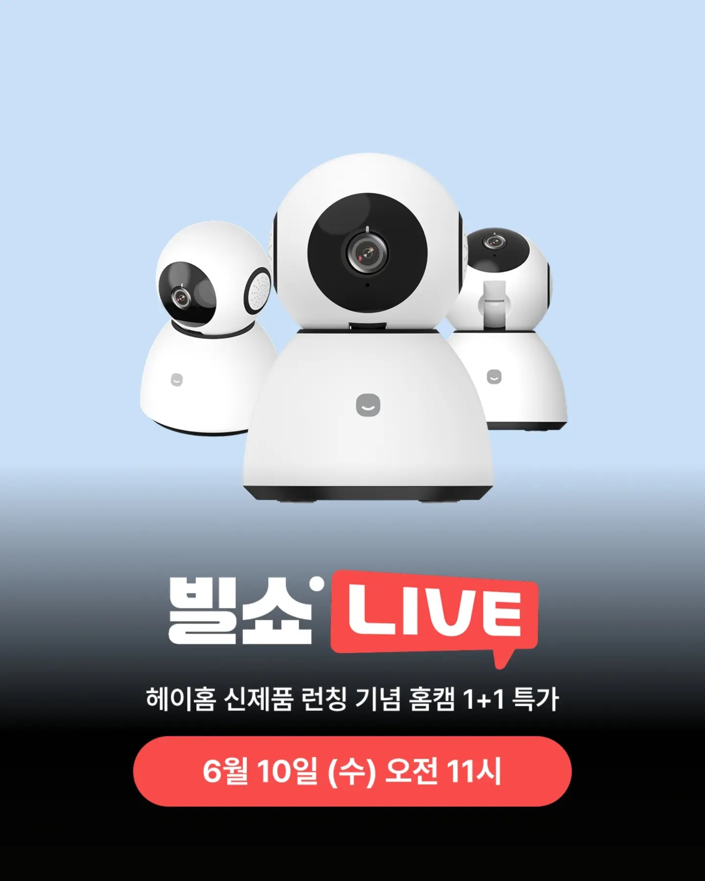 초당옥수수 스콘 1