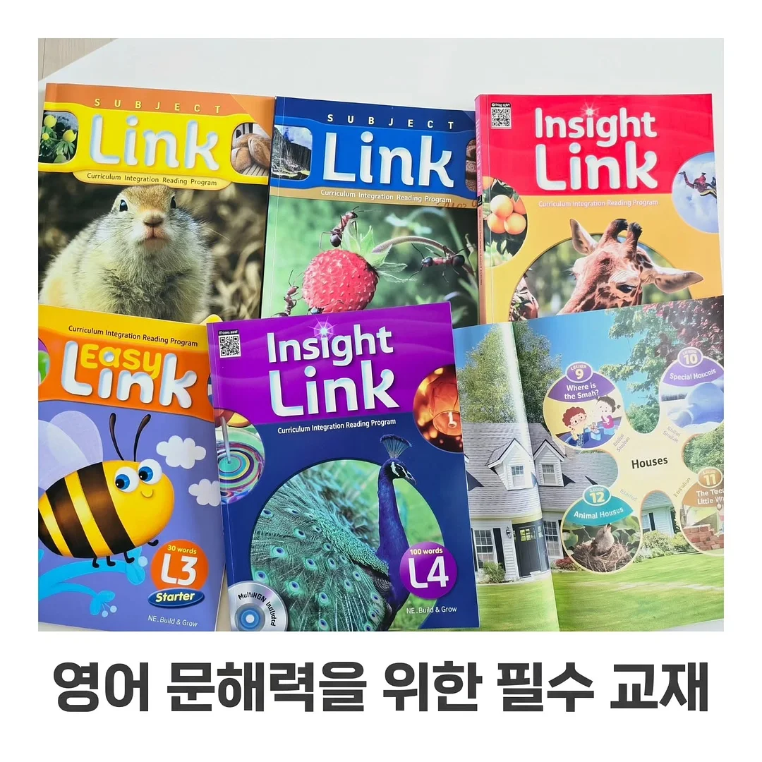 입생로랑 블러셔 대체템