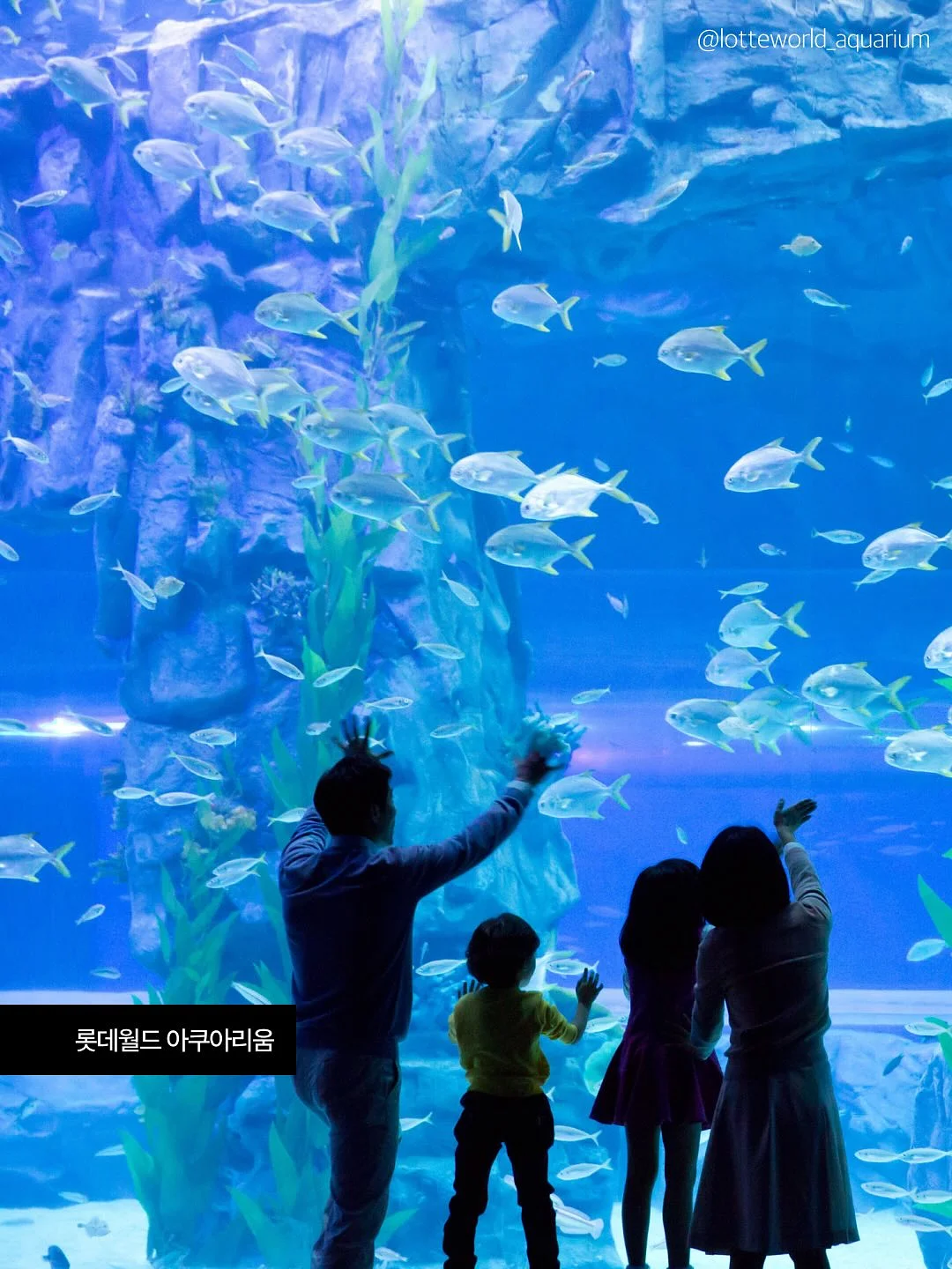 야구공 얼음 몰드 8