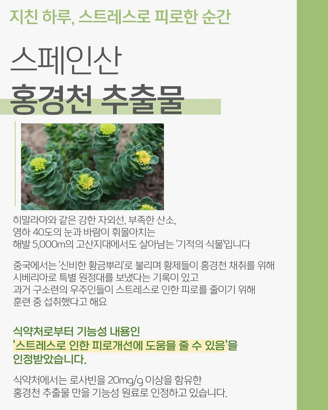 실바니안 패밀리 4