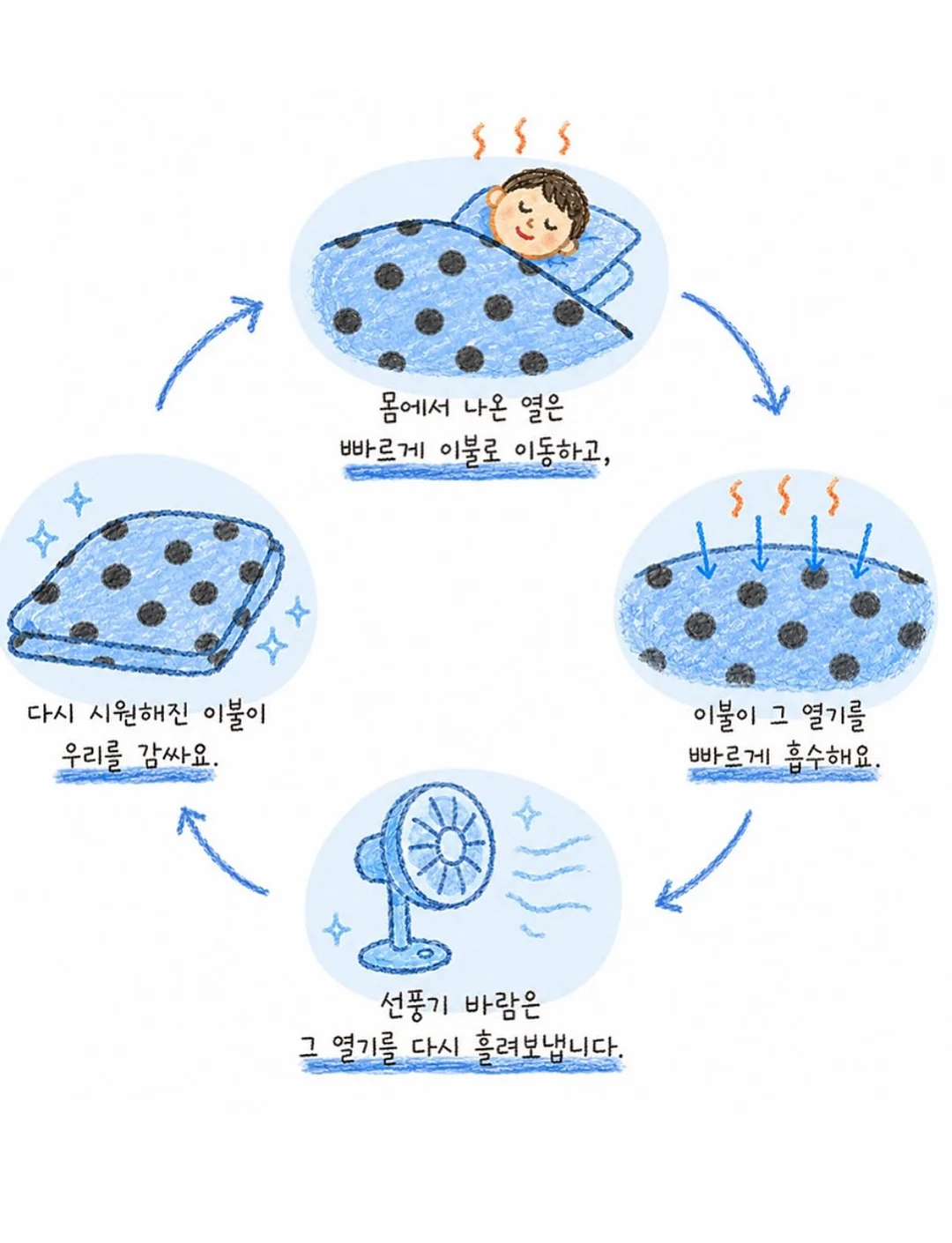 프로포즈 다발 10