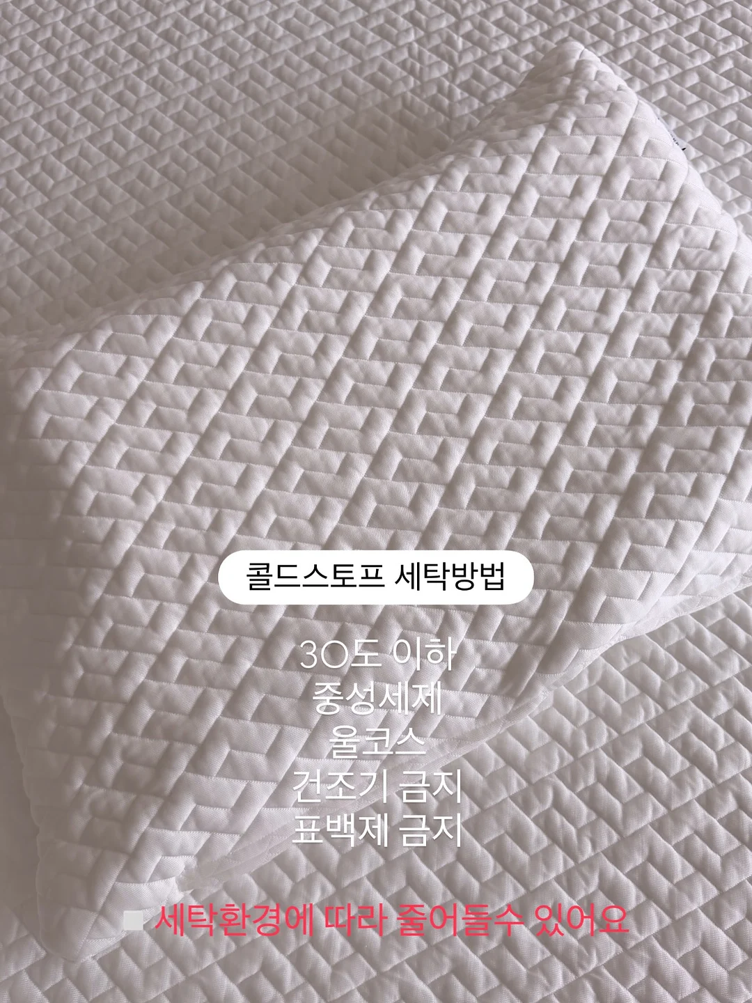 다이즈백 8
