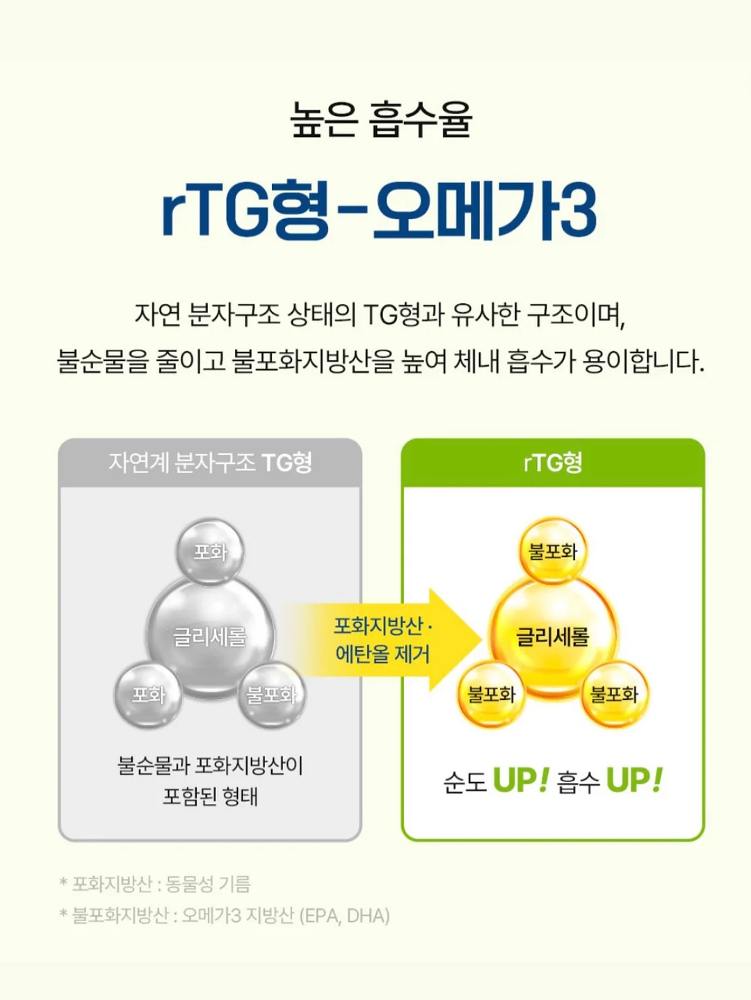 보보쇼즈 반팔 티셔츠 5